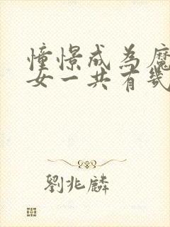 憧憬成为魔法少女一共有几季