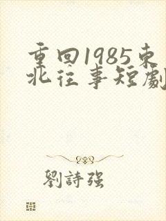 重回1985东北往事短剧免费观看
