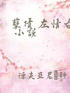 孽债 左情右爱 小说