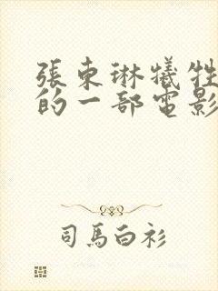 张东琳牺牲最大的一部电影