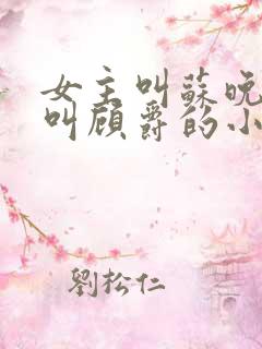 女主叫苏晚男主叫顾爵的小说名字