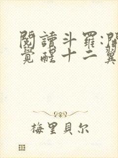 阅读斗罗:开局觉醒十二翼炽天使小说