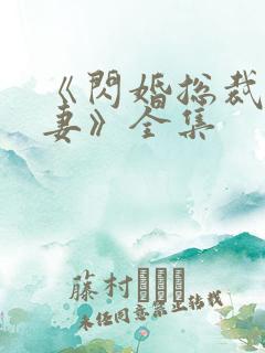 《闪婚总裁契约妻》全集