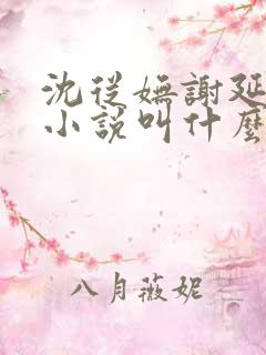 沈从妩谢延东的小说叫什么名字