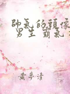 帅气的头像动漫 男生 霸气 冷酷