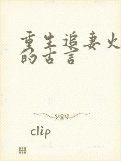 重生追妻火葬场的古言