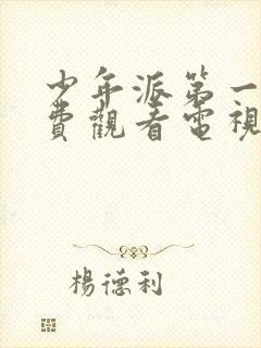 少年派第一季免费观看电视剧全集