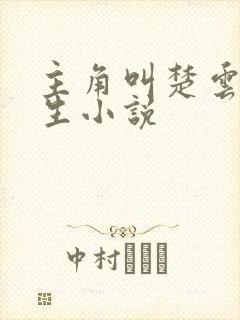 主角叫楚云的重生小说