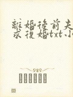 离婚后前夫哭着求复婚txt小说下载