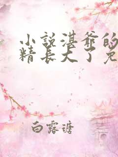 小说湛爷的小妖精长大了免费听