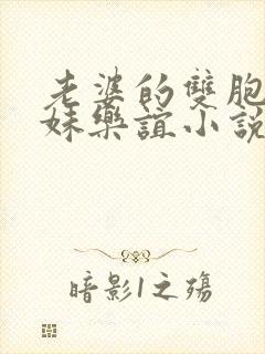 老婆的双胞胎表妹乐谊小说