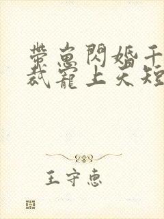 带崽闪婚千亿总裁宠上天短剧免费观看