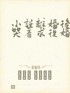 小说离婚后前夫哭着求复婚手机免费阅读全文