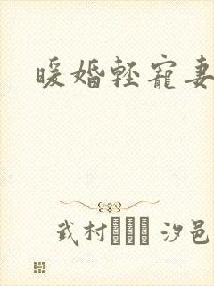 暖婚轻宠妻短剧