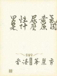 男性尿黄气味大是什么原因引起的