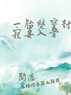 一胎双宝封先生宠妻入骨