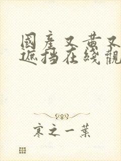 国产又黄又爽无遮挡在线观看