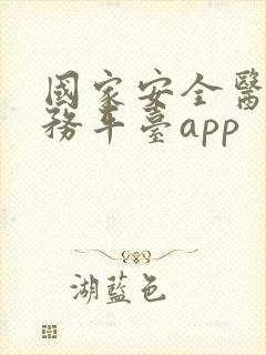 国家安全医保服务平台app