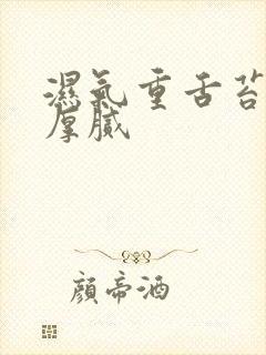 湿气重舌苔发黄厚腻