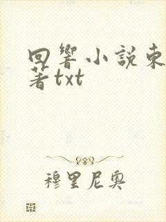回响小说东西原著txt
