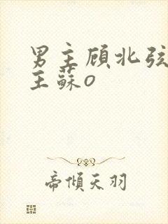 男主顾北弦和女主苏o