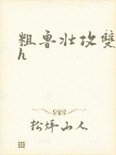 粗鲁壮攻双性受h