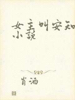 女主叫安知夏的小说