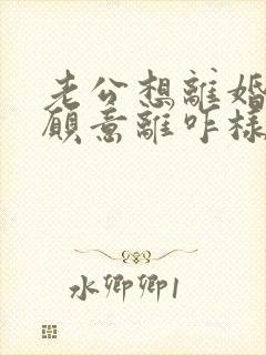 老公想离婚我不愿意离咋样解决