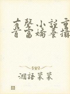 有声小说重生女首富娇养摄政王