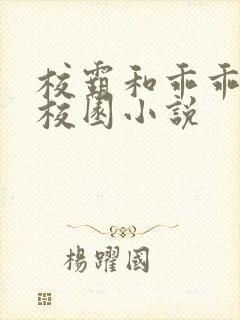 校霸和乖乖女的校园小说