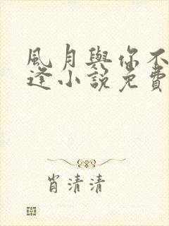 风月与你不再相逢小说免费阅读