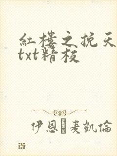 红楼之挽天倾无txt精校