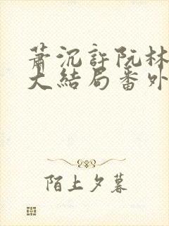 萧沉许阮林依然大结局番外