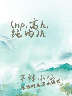 (np,高h,纯肉)h