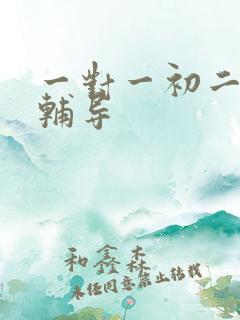 一对一初二物理辅导