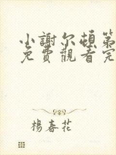 小谢尔顿第4季免费观看完整版