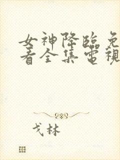 女神降临免费观看全集电视剧韩剧网