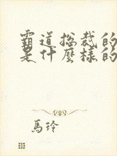 霸道总裁的男人是什么样的