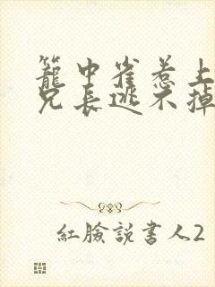 笼中雀惹上偏执兄长逃不掉未删减