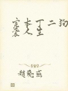 完本丁二狗的逆袭人生