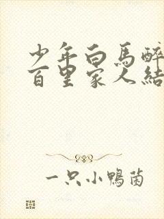 少年白马醉春风百里家人结局