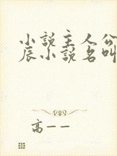 小说主人公叫叶辰小说名叫什么