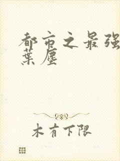 都市之最强仙帝叶尘