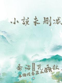 小说未删减原耽