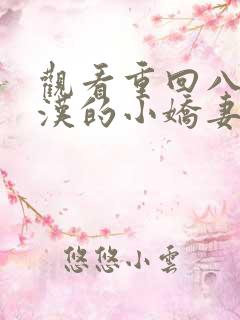 观看重回八零糙汉的小娇妻小说