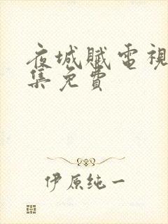 夜城赋电视剧全集免费