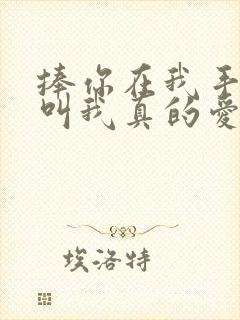 捧你在我手心谁叫我真的爱的就是你什么歌