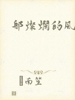 那灿烂的风和海