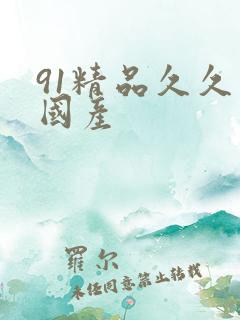 91精品久久久国产