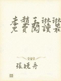 老赵王琳琳全文免费阅读最新章节